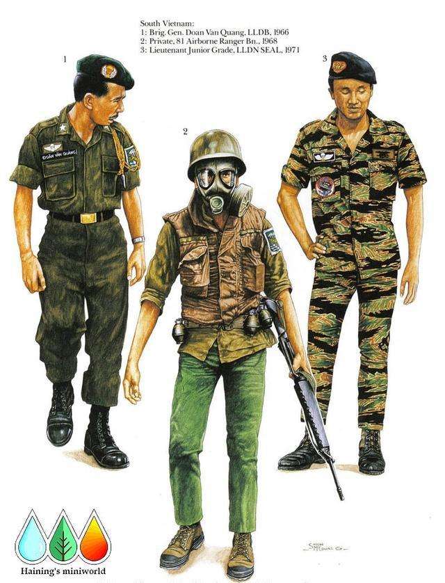 巴里亚多利德遭遇失利，战斗力待提升