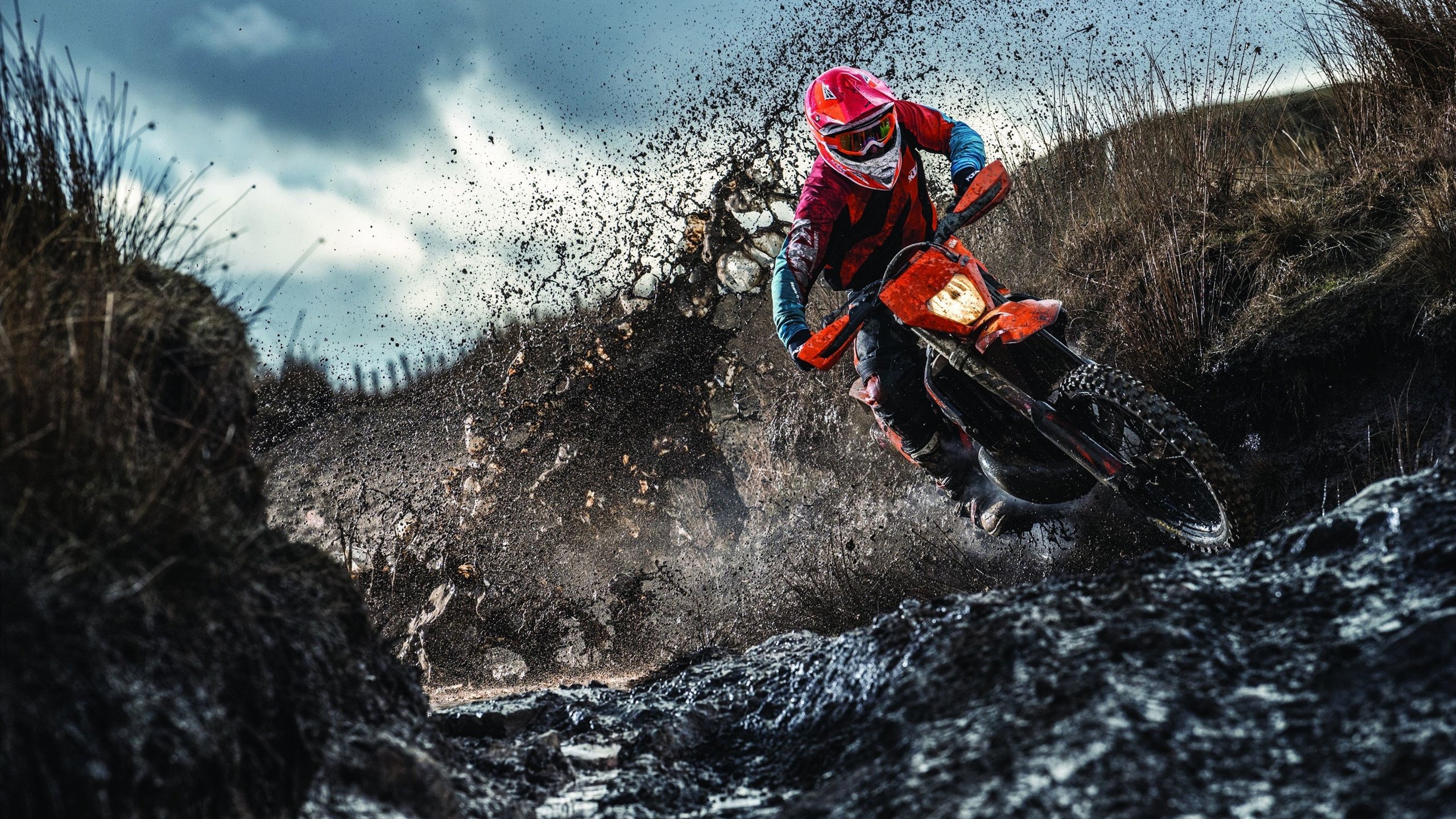 绝杀与惊艳，当绿茵场遇见乒乓台，竞技之美的双重奏